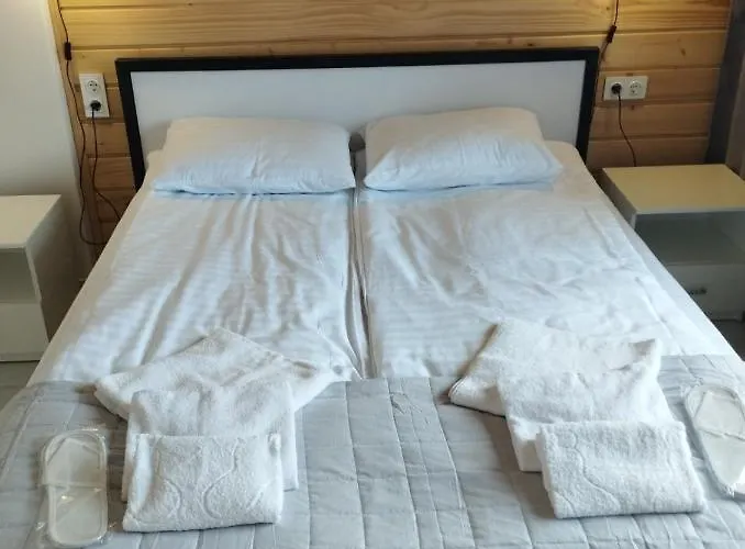 перлина карпат Apartament Skhidnytsia