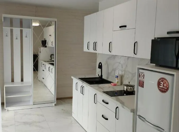 перлина карпат Apartament Skhidnytsia